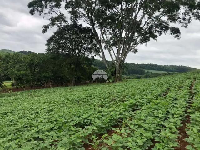 Terreno venda em Região Geográfica Imediata de Pato Branco, Clevelândia