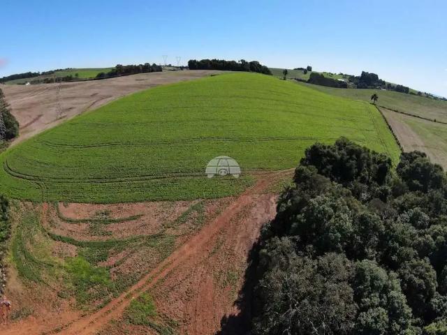 Terreno venda em Região Geográfica Imediata de Pato Branco, Região Sul