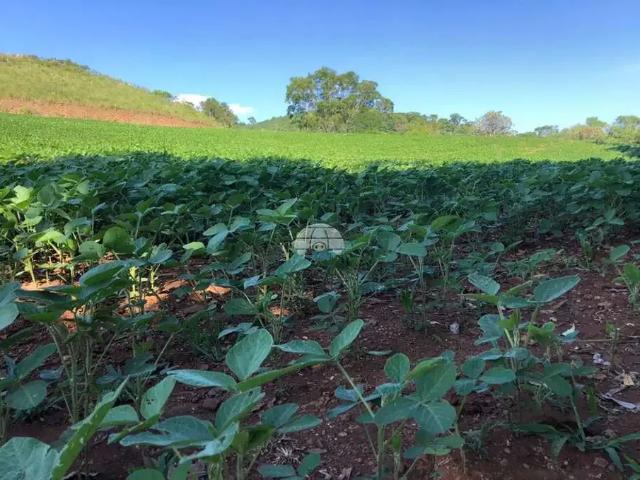 Terreno venda em Região Geográfica Imediata de Pato Branco, Clevelândia