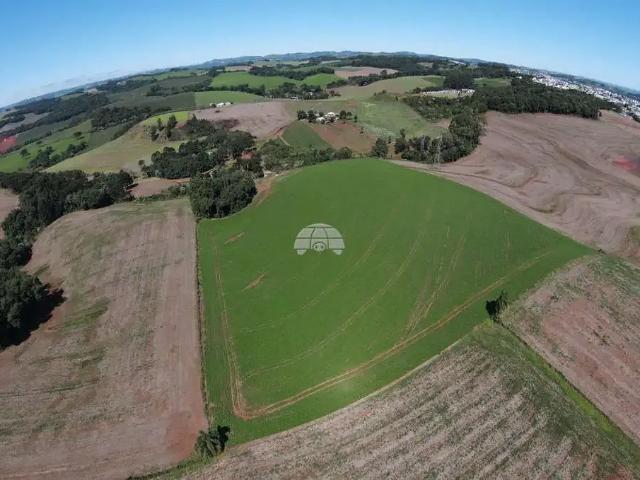 Terreno venda em Região Geográfica Imediata de Pato Branco, Região Sul