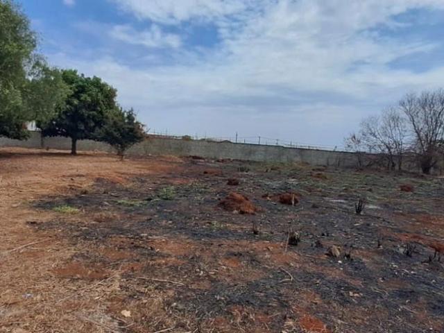 Terreno venda em Alto Caiçaras, Patos de Minas
