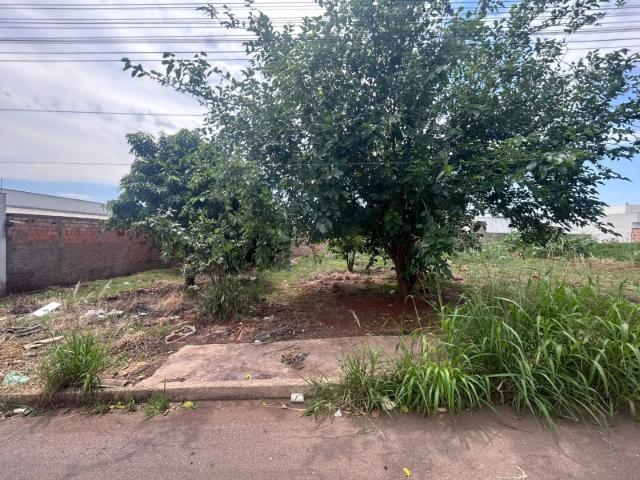 Terreno venda em Jardim Panorâmico I, Patos de Minas