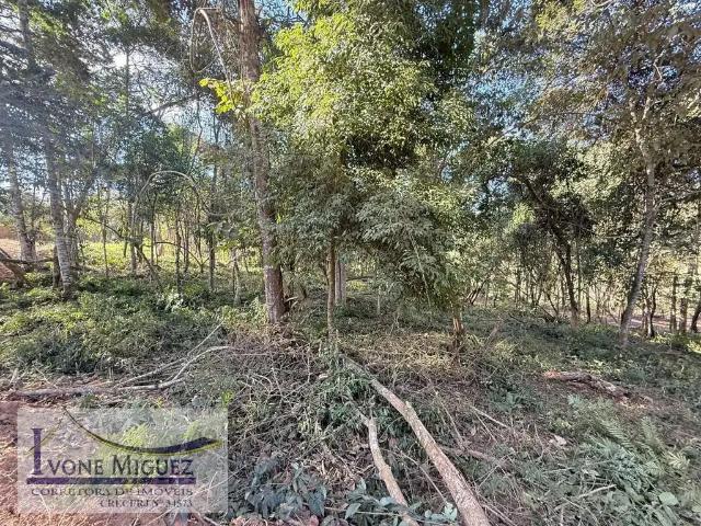 Terreno venda em Paty do Alferes, Região Geográfica Intermediária de Volta Redonda-Barra Mansa