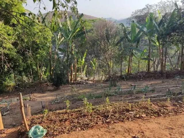 Terreno venda em Paty do Alferes, Região Geográfica Intermediária de Volta Redonda-Barra Mansa