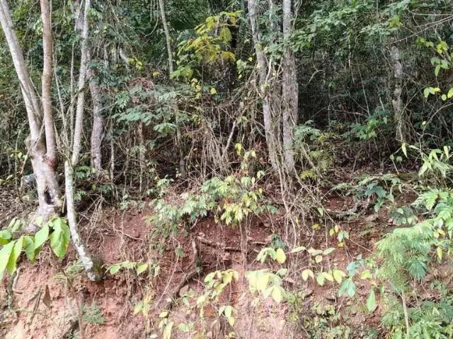 Terreno venda em Região Geográfica Imediata de Valença, Paty do Alferes