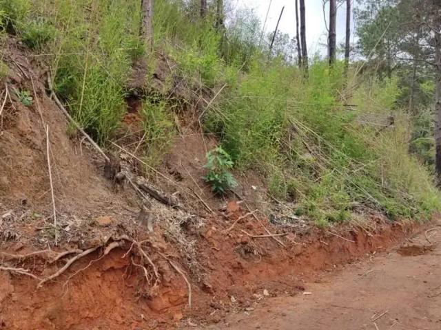 Terreno venda em Região Geográfica Imediata de Valença, Paty do Alferes