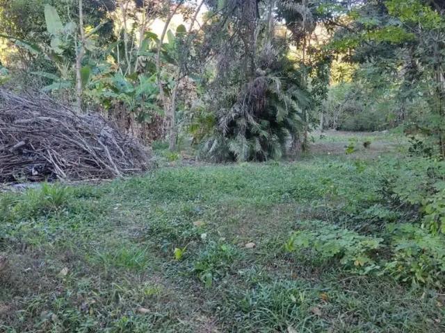 Terreno venda em Região Geográfica Imediata de Valença, Paty do Alferes