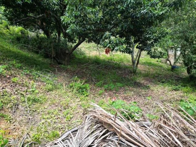 Terreno venda em Região Geográfica Imediata de Valença, Paty do Alferes