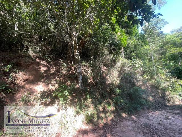 Terreno venda em Paty do Alferes, Região Geográfica Intermediária de Volta Redonda-Barra Mansa