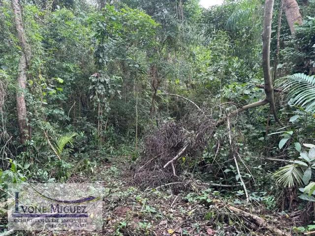 Terreno venda em Região Geográfica Imediata de Valença, Paty do Alferes