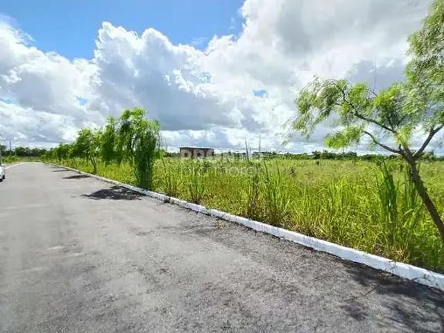 Terreno venda em Região Geográfica Imediata do Recife, Paudalho