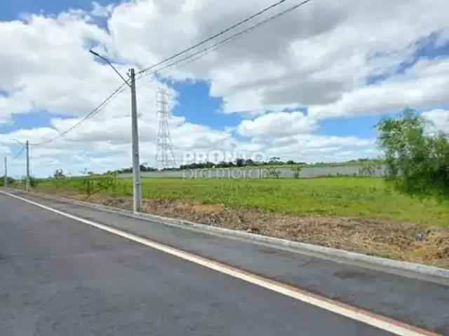Terreno venda em Região Geográfica Imediata do Recife, Paudalho