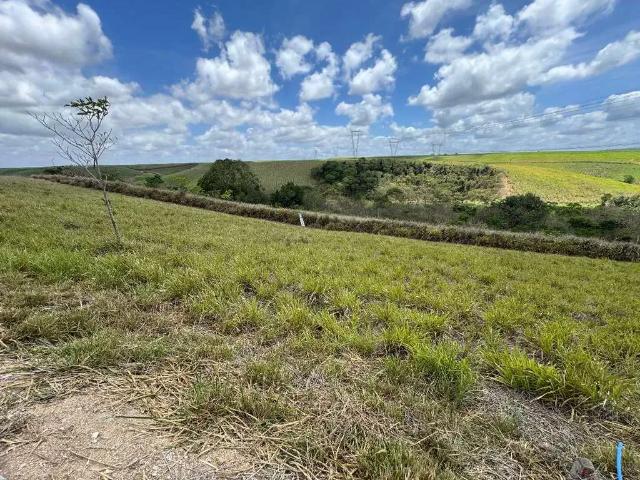 Terreno venda em Região Geográfica Imediata do Recife, Paudalho