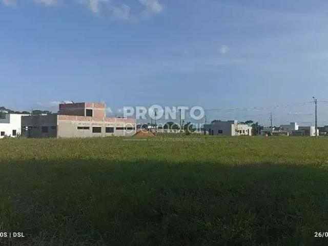Terreno venda em Região Geográfica Imediata do Recife, Paudalho