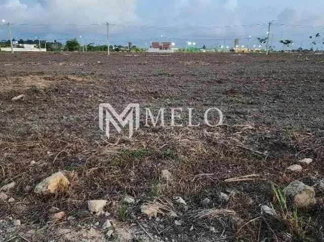 Terreno venda em Região Geográfica Imediata de Caruaru, Toritama