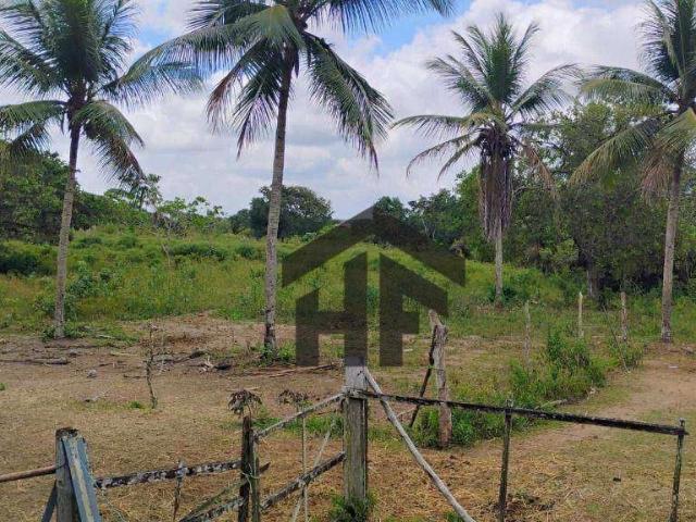 Terreno venda em Região Geográfica Imediata do Recife, Paudalho