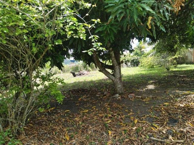 Terreno venda em Região Geográfica Imediata do Recife, Paudalho