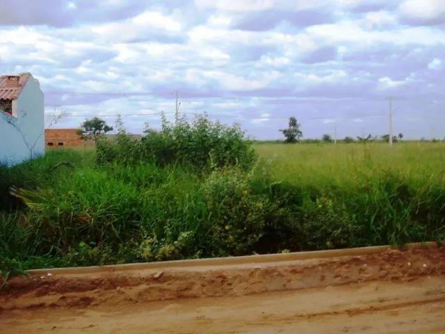 Terreno venda em Região Imediata de Dracena, Paulicéia
