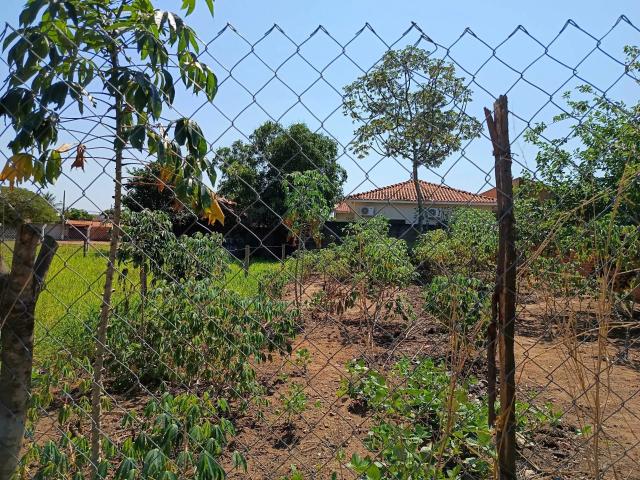 Terreno venda em Paulicéia, Pauliceia