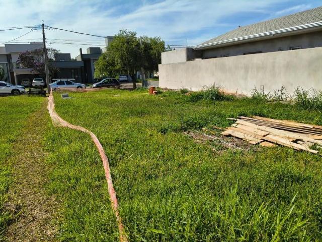 Terreno venda em São José II, Paulínia