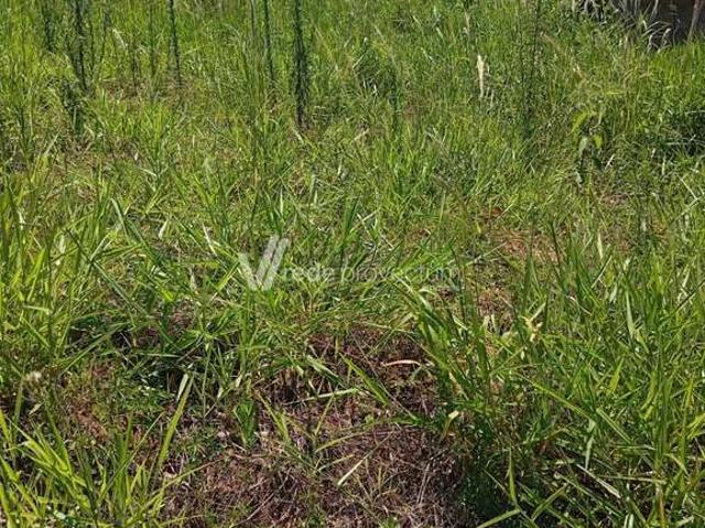 Terreno venda em Residencial Novo Horizonte, Paulínia