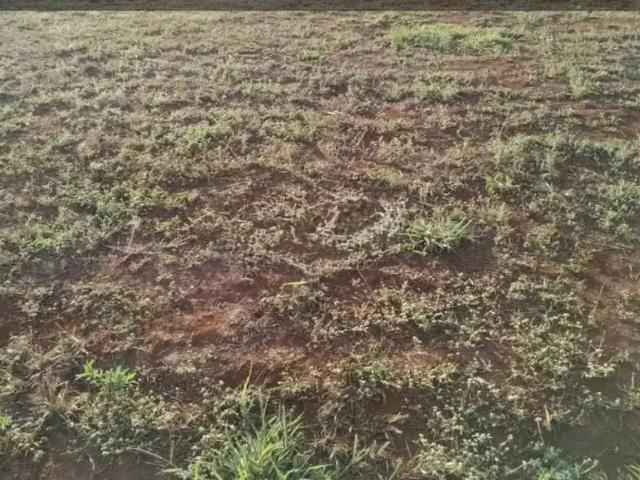 Terreno venda em Conjunto Habitacional Aurílio Lima, Paulinia