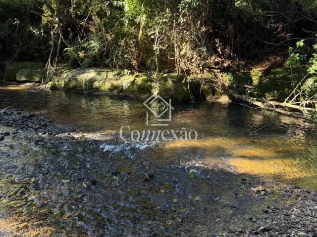 Terreno venda em Região Geográfica Imediata de Itajaí, Balneario Camboriú
