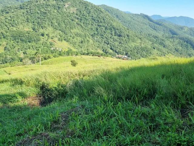 Terreno venda em Região Geográfica Imediata de Florianópolis, Paulo Lopes