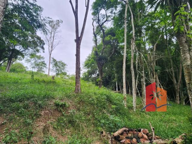 Terreno venda em Região Geográfica Imediata de Florianópolis, Paulo Lopes