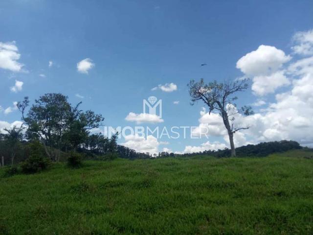 Terreno venda em Pedra Bela, Região Geográfica Intermediária de Campinas