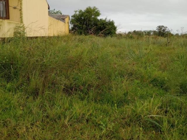 Terreno venda em Pelotas, Região Geográfica Intermediária de Pelotas