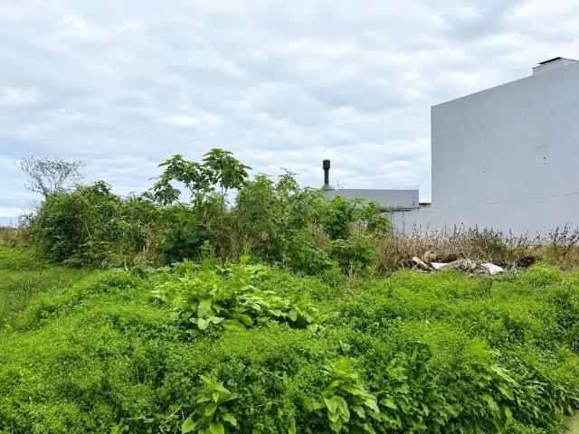 Terreno venda em Região Geográfica Imediata de Pelotas, Aglomeração Urbana do Sul