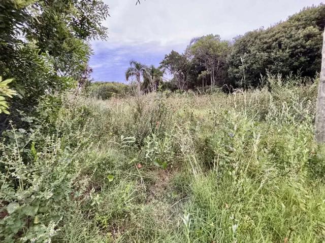Terreno venda em Região Geográfica Imediata de Pelotas, Aglomeração Urbana do Sul