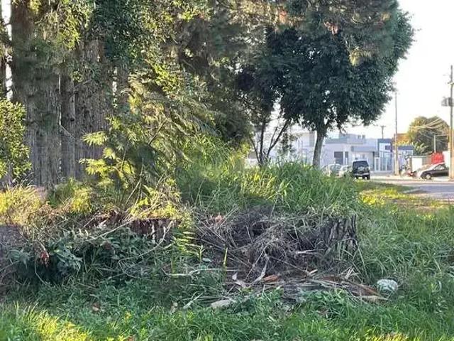 Terreno venda em Região Geográfica Imediata de Pelotas, Aglomeração Urbana do Sul