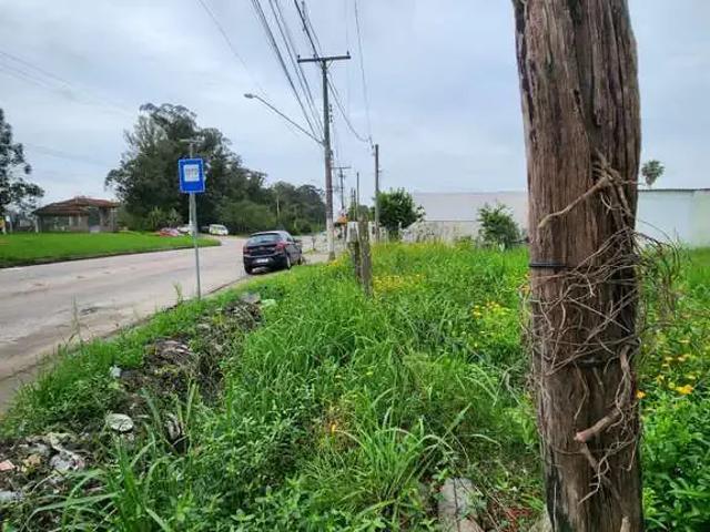 Terreno venda em Região Geográfica Imediata de Pelotas, Aglomeração Urbana do Sul
