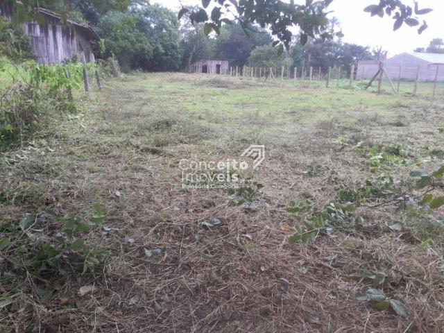 Terreno venda em Região Geográfica Imediata de Itajaí, Penha