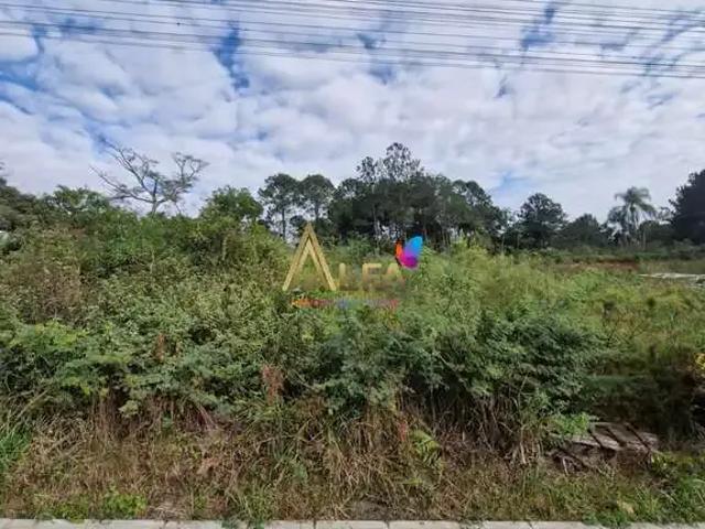 Terreno venda em Região Geográfica Imediata de Itajaí, Penha