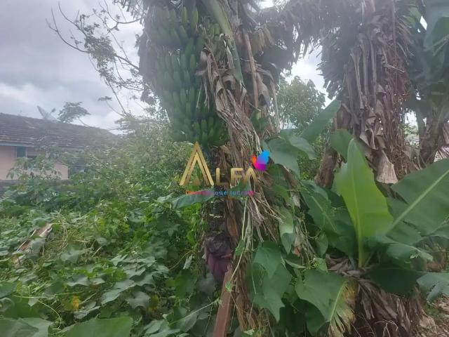 Terreno venda em Região Geográfica Imediata de Itajaí, Penha