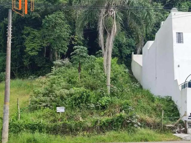 Terreno venda em Região Geográfica Imediata de Itajaí, Penha