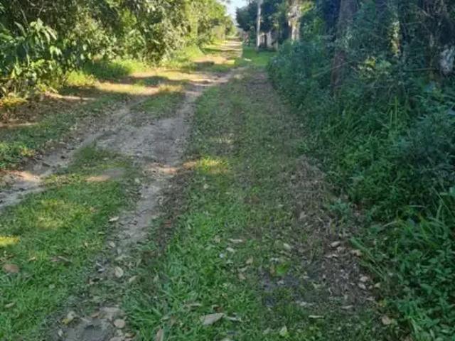 Terreno venda em Peruíbe, Região Geográfica Intermediária de São Paulo