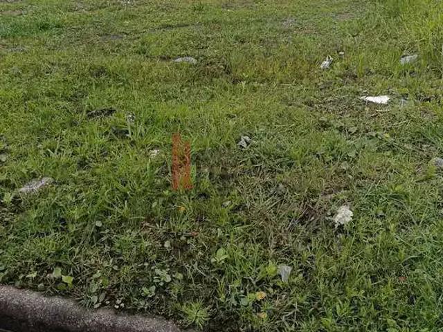 Terreno venda em Peruíbe, Região Geográfica Intermediária de São Paulo
