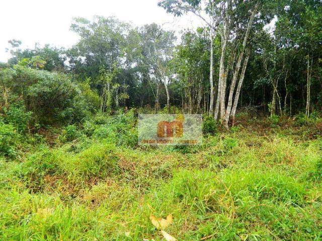 Terreno venda em Região Geográfica Imediata de Manaus, Itamarati