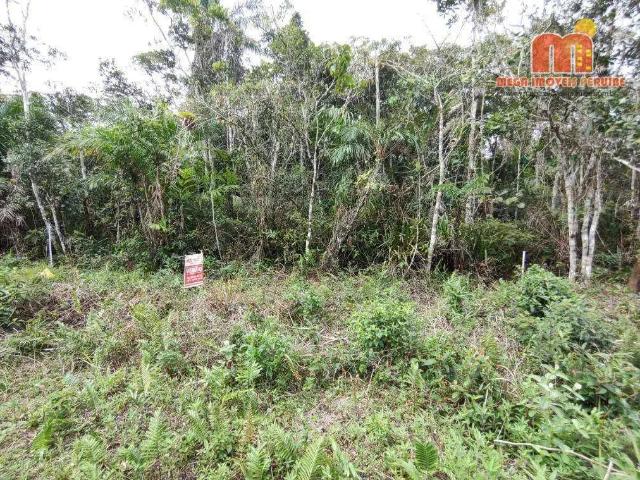 Terreno venda em Região Imediata de Santos, Região Metropolitana da Baixada Santista
