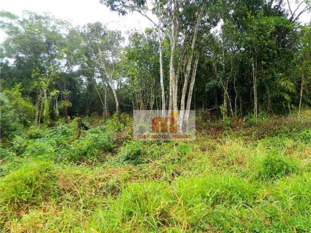 Terreno venda em Região Geográfica Imediata de Manaus, Itamarati