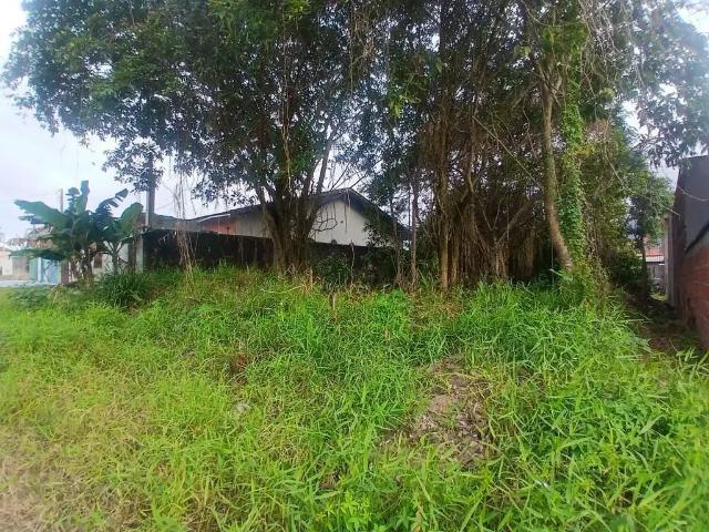 Terreno venda em Peruíbe