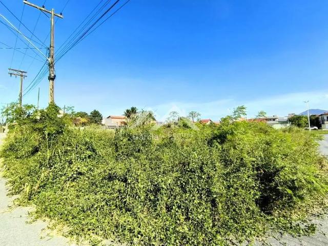 Terreno venda em Região Imediata de Santos, Região Metropolitana da Baixada Santista