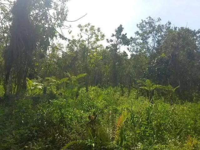 Terreno venda em Região Imediata de Sorocaba, Região Metropolitana de Sorocaba