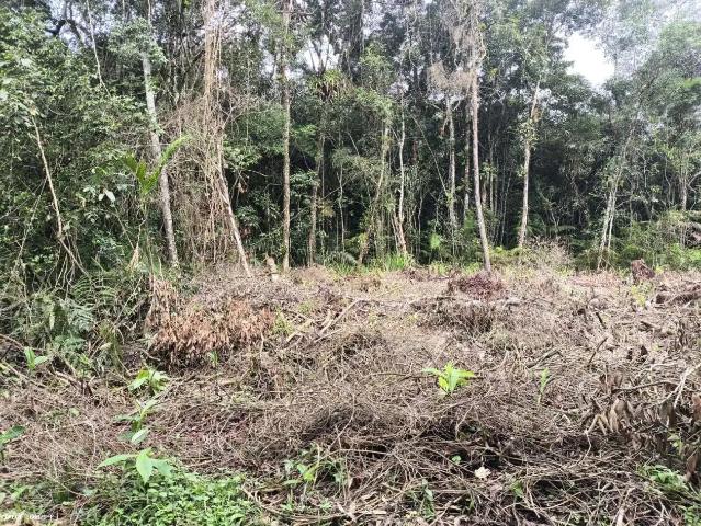 Terreno venda em Peruíbe