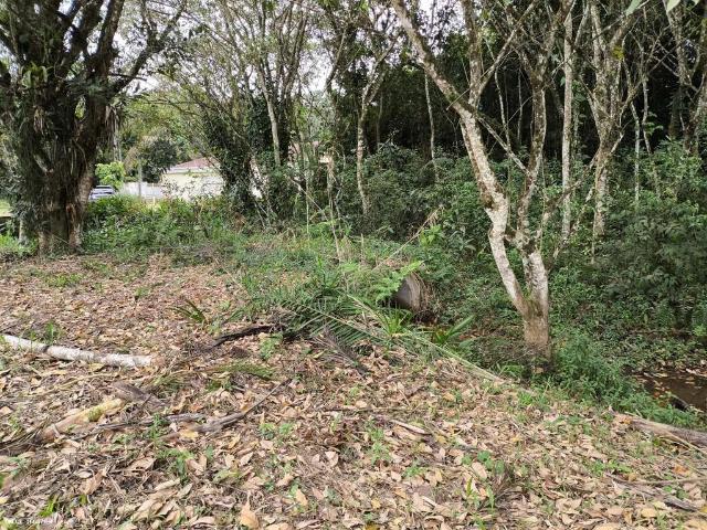 Terreno venda em Região Imediata de Santos, Região Metropolitana da Baixada Santista