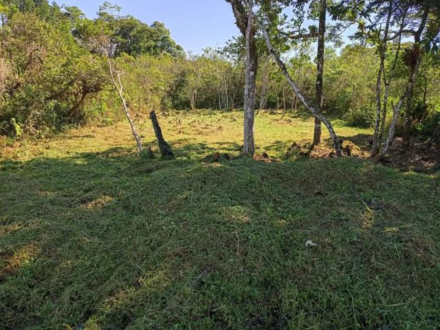Terreno venda em Região Imediata de Santos, Região Metropolitana da Baixada Santista